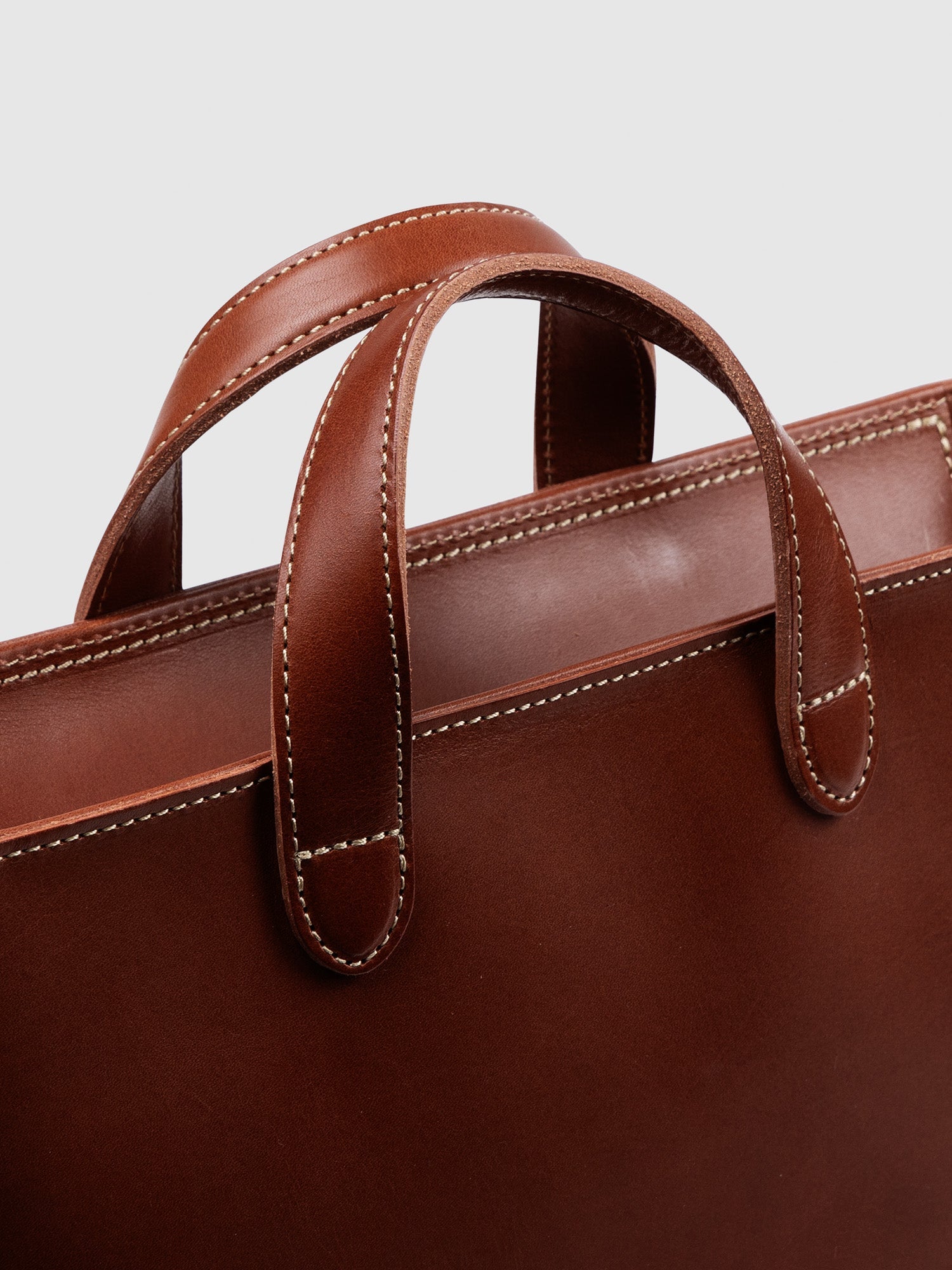 【数量限定色】ディアリオ 2wayトート Medium