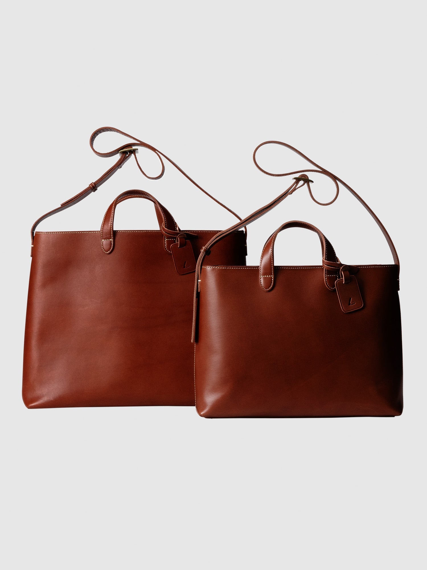 【数量限定色】ディアリオ 2wayトート Medium