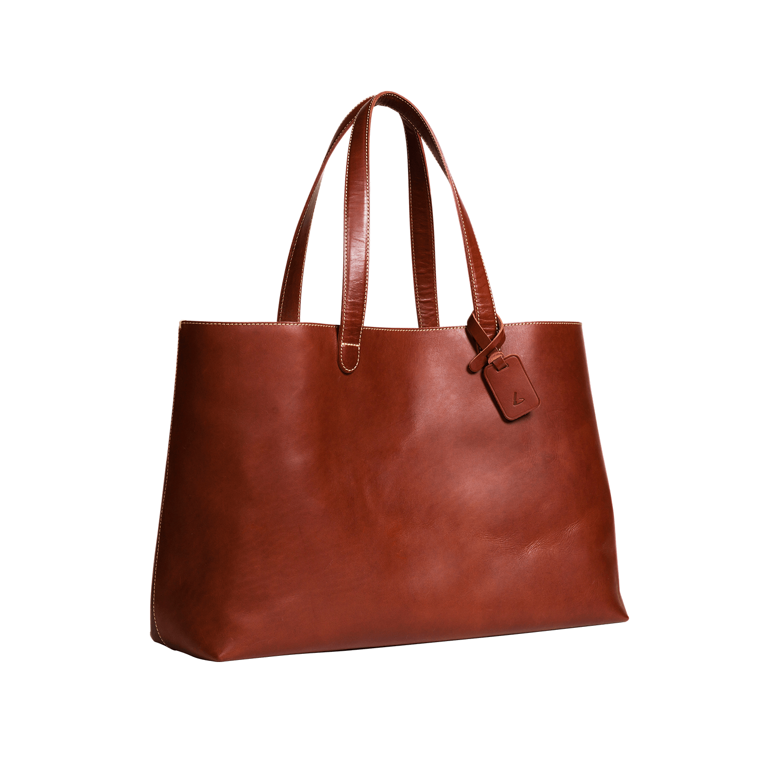 【数量限定色】ディアリオ ラージトート