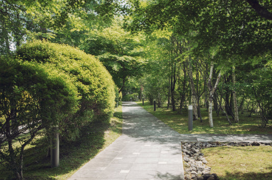 爽やかな風と緑が眩しい 軽井澤工房店に行ってきました