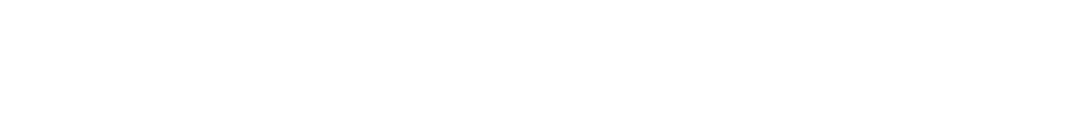 ROUNDRIDER