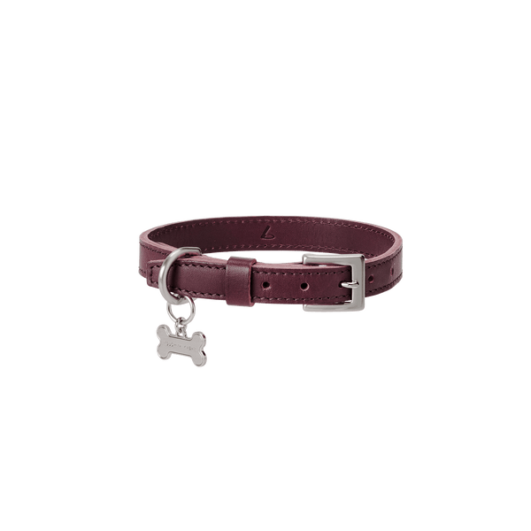 【数量限定色】ホームコレクション ペットカラー (首輪)