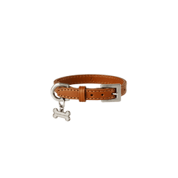 【数量限定色】ホームコレクション ペットカラー (首輪) XS／ブラウン