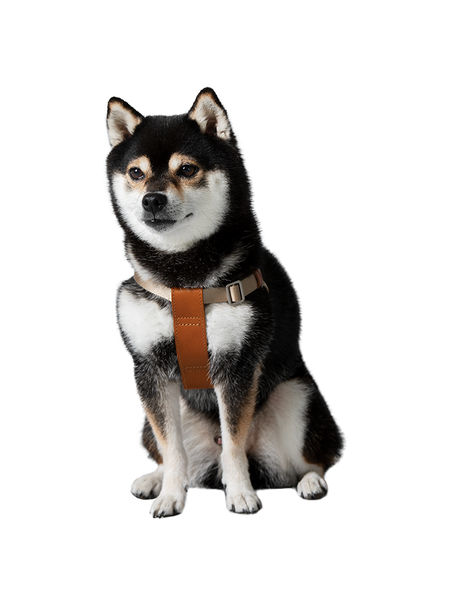 hc-pet-harness_model_1_grande.