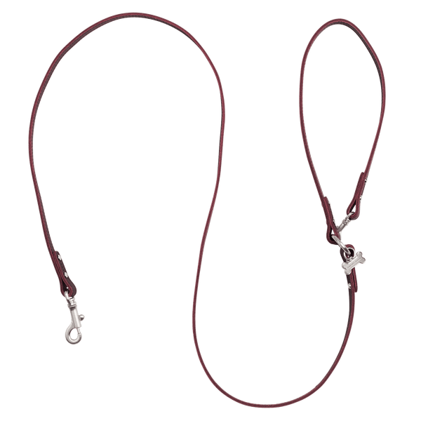 【数量限定色】ホームコレクション ペットリード